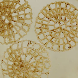 Super Decarburization MBBR xử lý nước môi trường bộ lọc nổi 25mm X 4mm