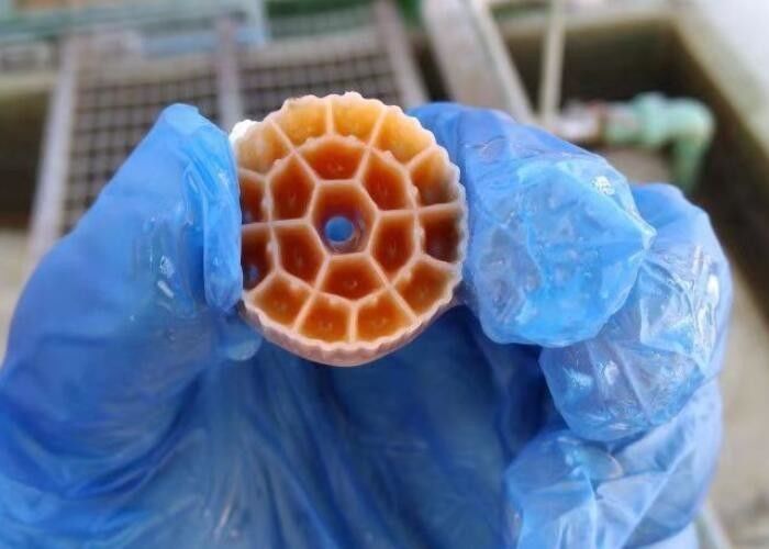 Đen Virgin HDPE vật liệu MBBR Plastic Filter Media cho bể cá 25mm X 12mm