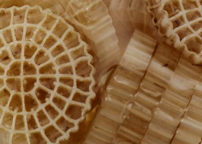 Polyethylene BIO Balls Filter Media FDA Safty Không độc hại K1 Micro MBBR Media