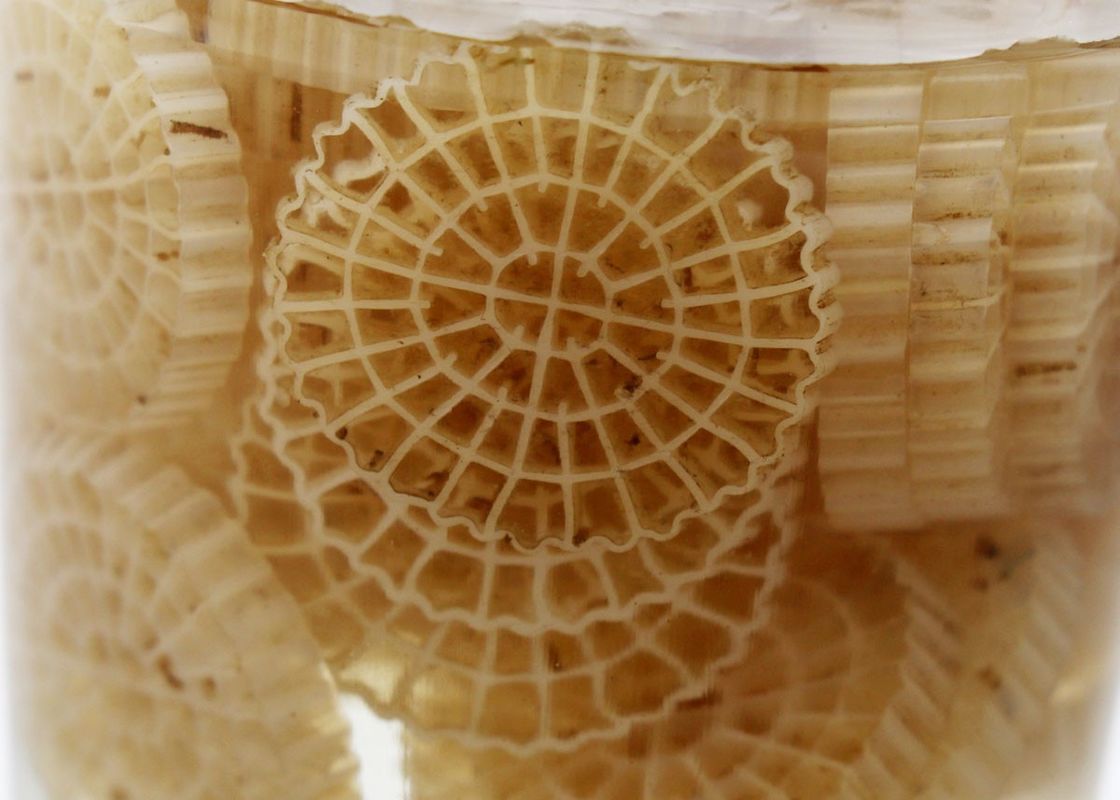 hdpe k5 kaldnes vật liệu nhựa phụ kiện bể cá bóng sinh học phương tiện sinh học ống sinh học để xử lý nước